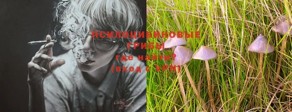 mix Богородицк