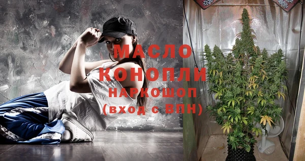 mix Богородицк